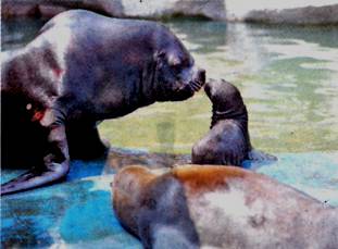 image009.jpg