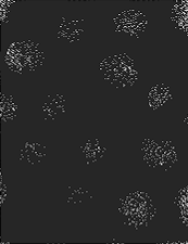 image009.gif