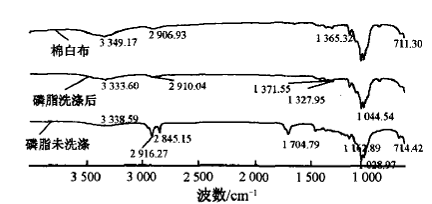image019.gif