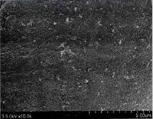 image050.jpg