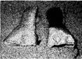 image006.jpg