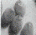image015.gif
