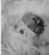 image016.gif