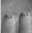 image017.gif