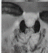 image018.gif