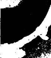 image008.gif
