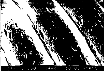 image001.gif