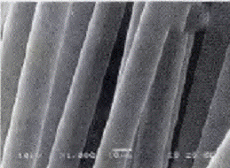 image017.gif