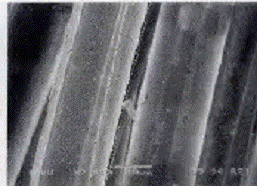 image018.gif