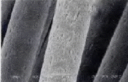 image019.gif