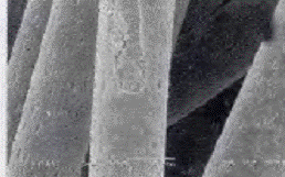 image020.gif