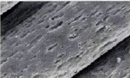 image021.gif