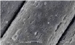 image022.gif
