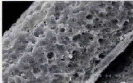 image024.gif
