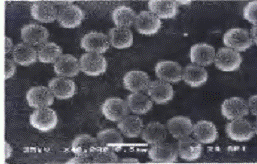 image025.gif