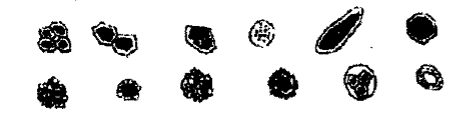 image002.gif