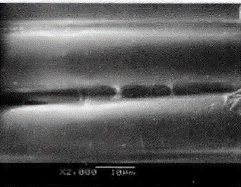 image005.gif