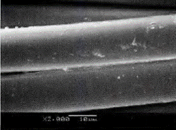 image006.gif