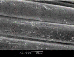 image007.gif