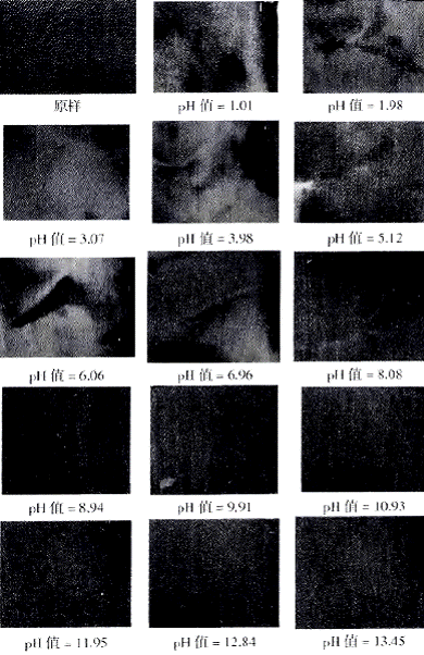 image006.gif