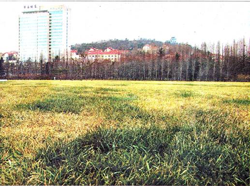 image002.jpg