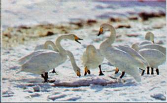 image011.jpg