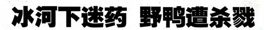 image002.jpg