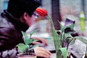 image004.jpg
