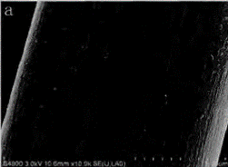 image015.gif