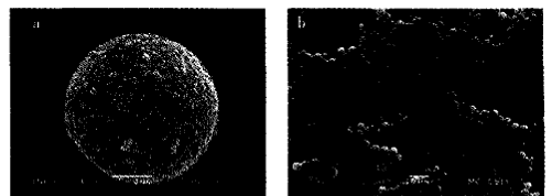 image017.gif