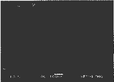 image022.gif