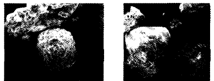 image008.gif