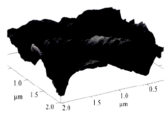 image026.gif