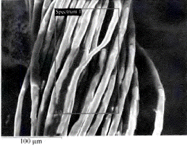 image011.gif