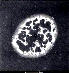 image002.gif