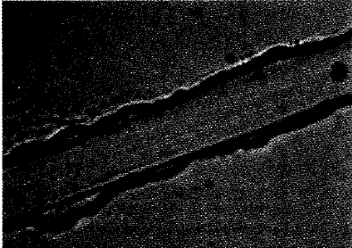 image010.gif