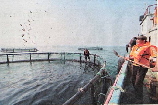 image008.jpg