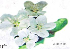 image006.jpg