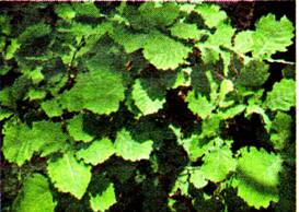 image011.jpg