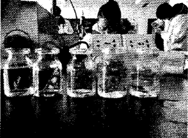 image002.gif