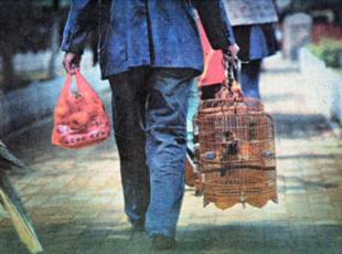 image011.jpg