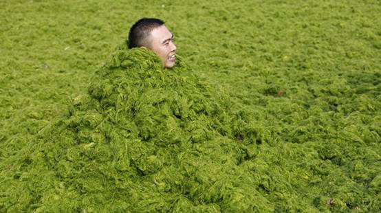 http://img1.gtimg.com/news/pics/hv1/190/145/1364/88731265.jpg