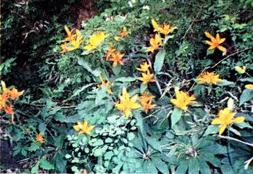 image014.jpg