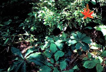 image015.jpg