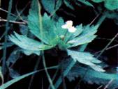 image017.jpg