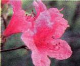 image018.jpg