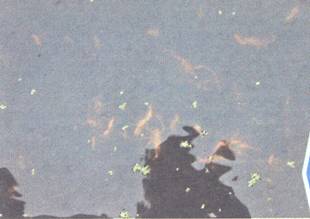 image002.jpg