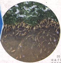 image006.jpg