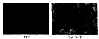 image008.gif