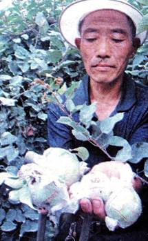 image004.jpg